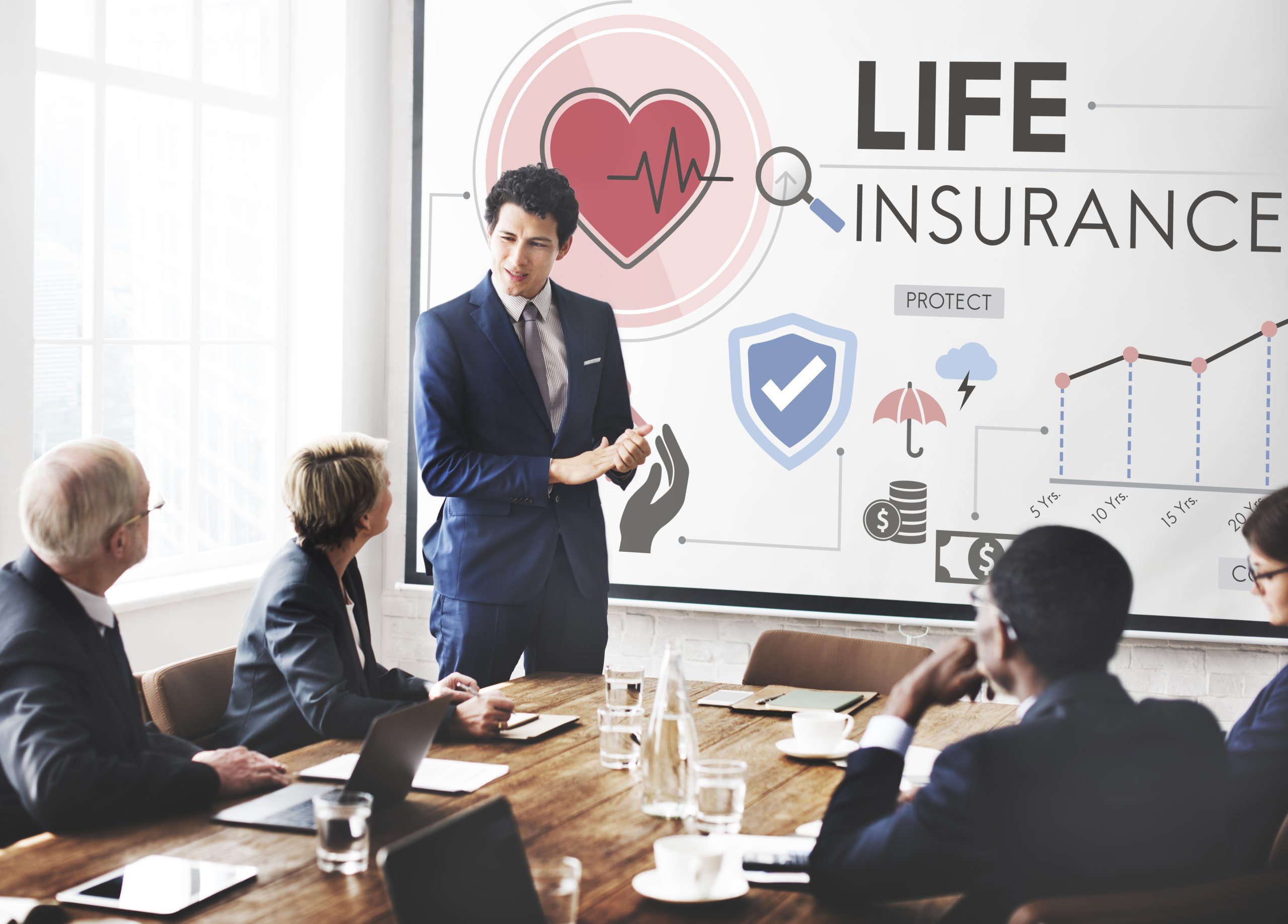 Understanding Embedded Value Reports in Life Insurance Companies
